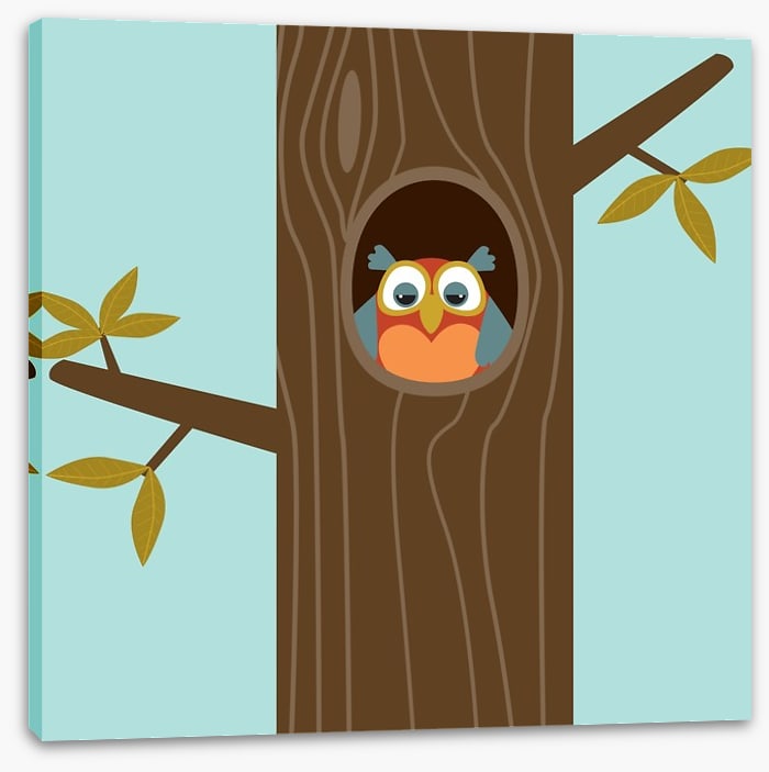 Owls