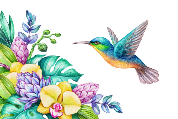 Yellow orchid hummingbird