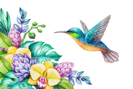 Yellow orchid hummingbird