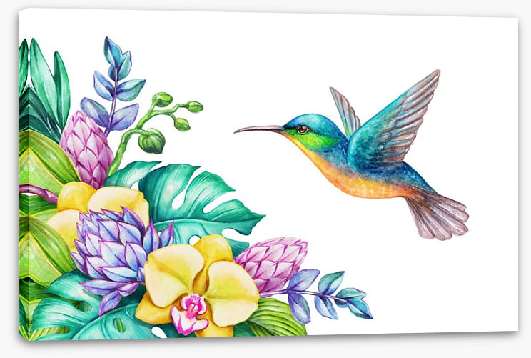 Yellow orchid hummingbird