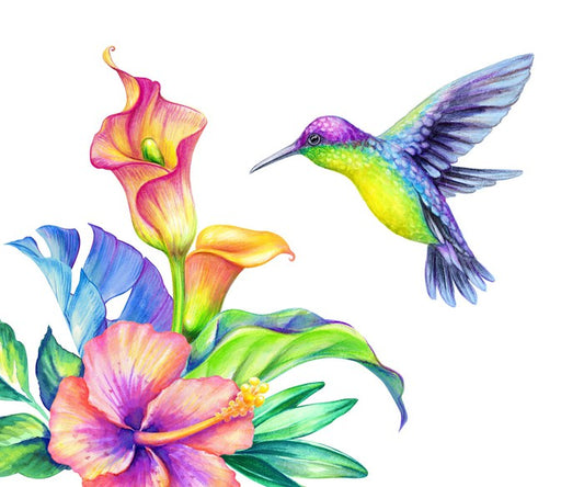 Flight of fancy