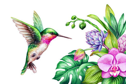 Pink orchid hummingbird