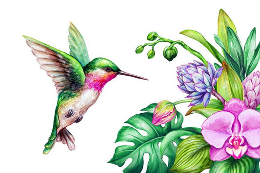 Pink orchid hummingbird