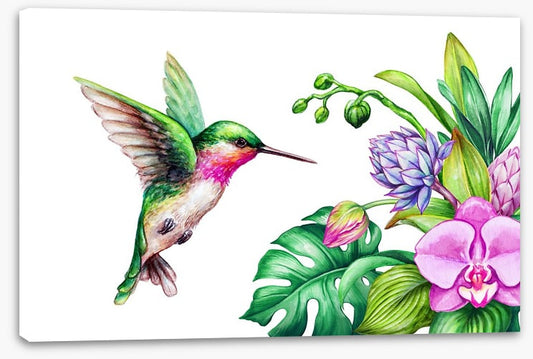 Pink orchid hummingbird