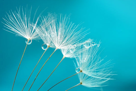 Turquoise droplets