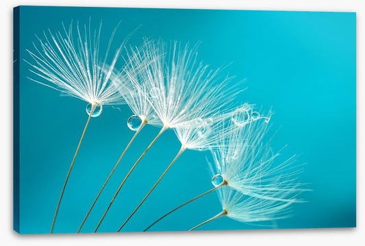 Turquoise droplets