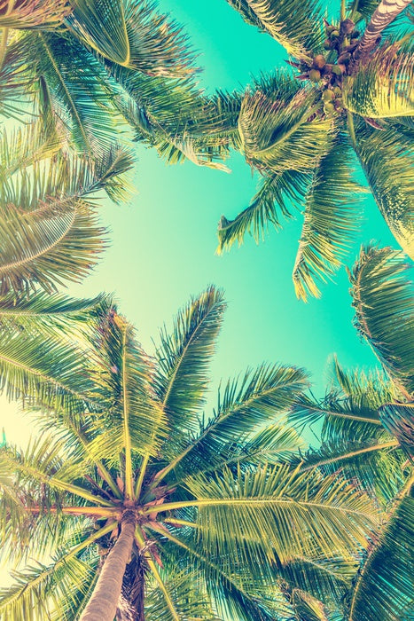 Under a summer sky