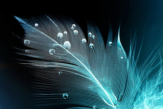 Blue feather droplets