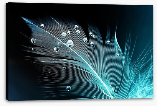 Blue feather droplets