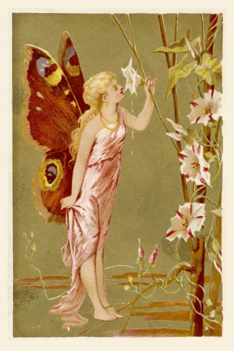 The flower faerie