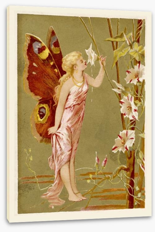 The flower faerie