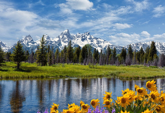Grand Teton wilderness