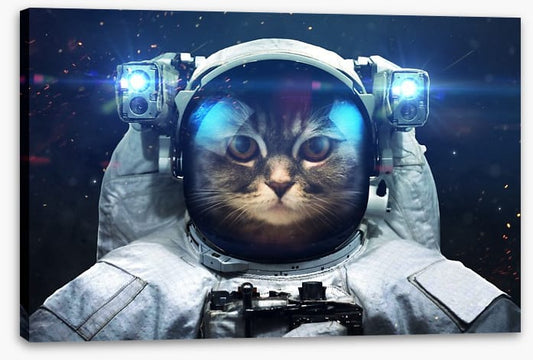 Space cat