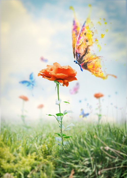 Beholding beauty