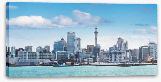 Auckland blues