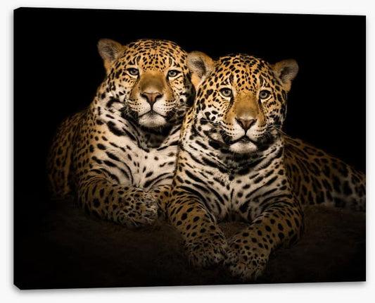 Team jaguar