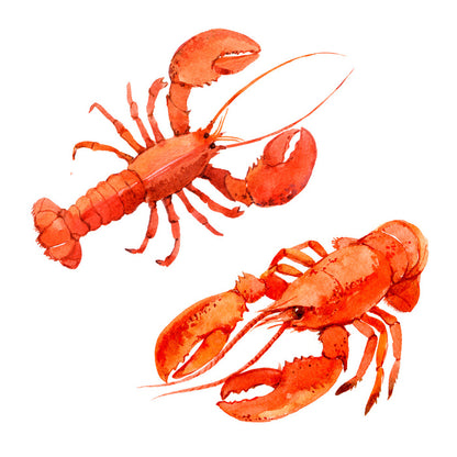 Pink lobsters