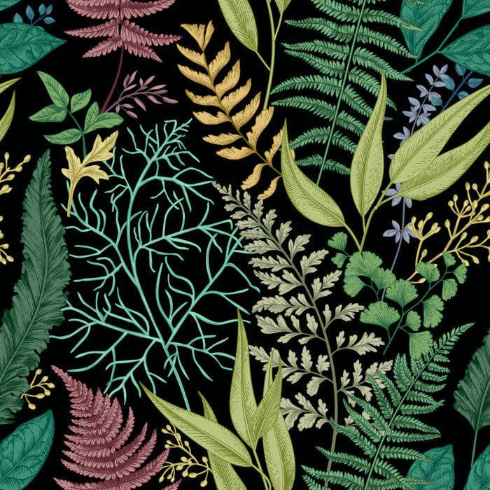 Ferny friends 3