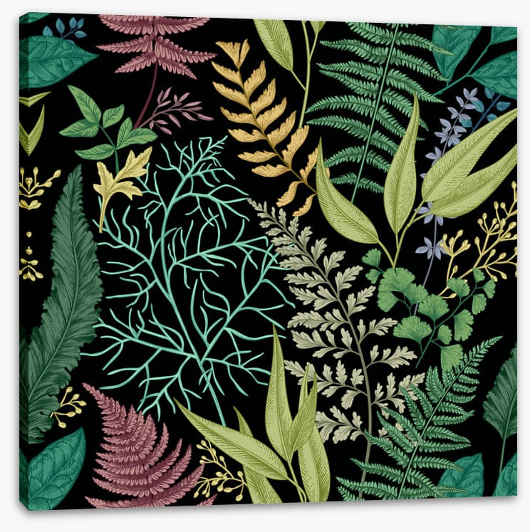 Ferny friends 3