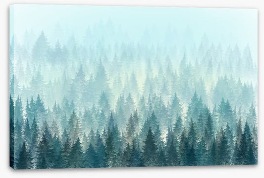 In the misty pines