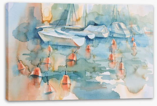 Boats and buoys