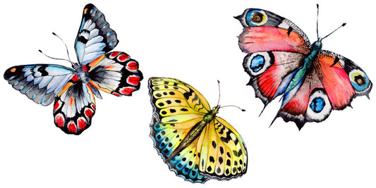Butterflies