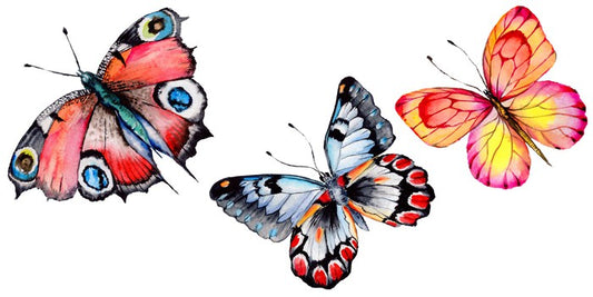 Butterfly trio I