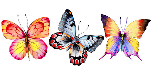 Butterfly trio II