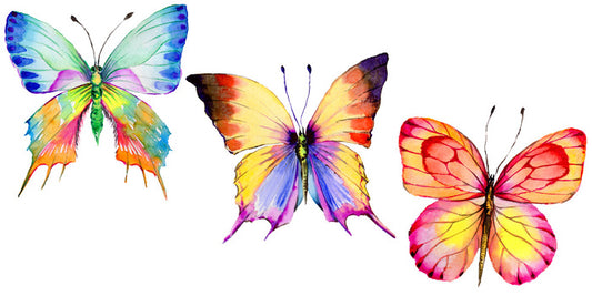 Butterflies
