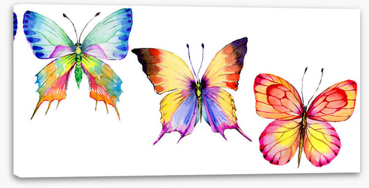 Butterflies