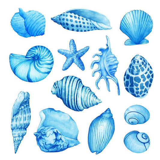 Coastal collection