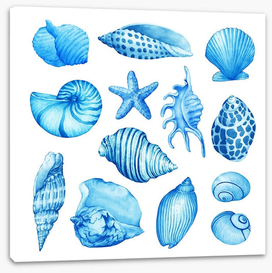 Coastal collection