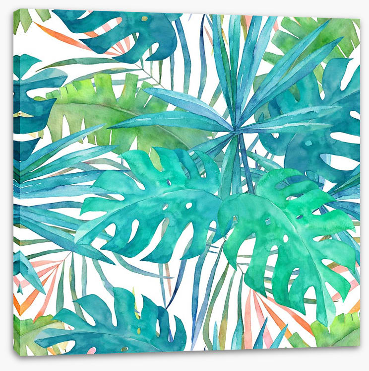 Soft palm leaves