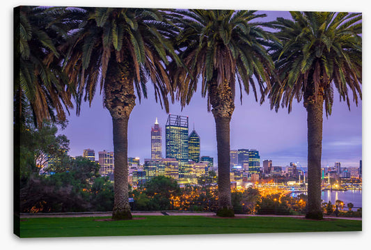 Perth through the palms