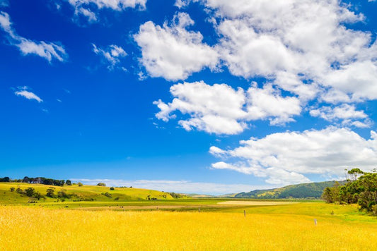 Agriculture