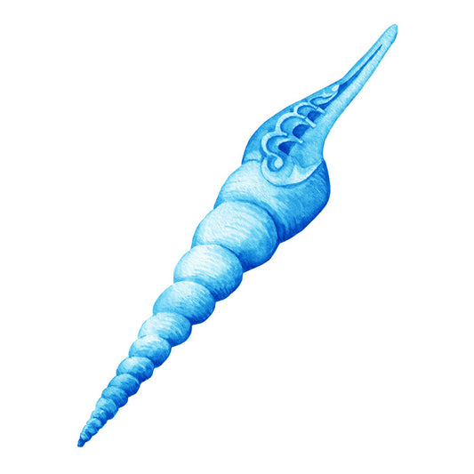 Blue spiral shell