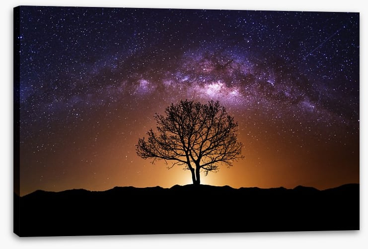 The cosmic tree