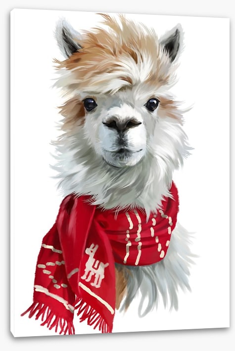 Chilly alpaca
