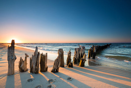 Last rays