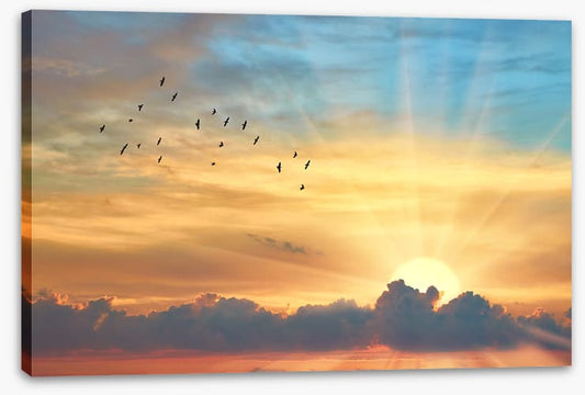 Through the sunbeams