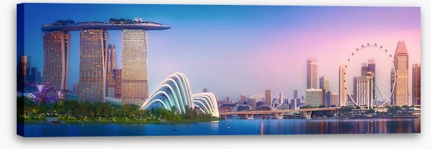 Singapore blush panorama