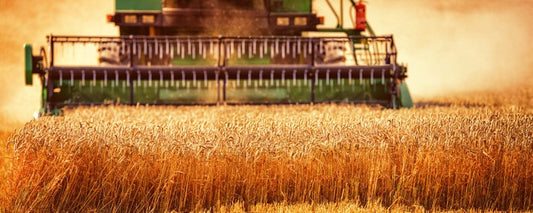 Agriculture