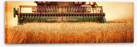Agriculture
