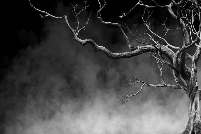 Reaching through time