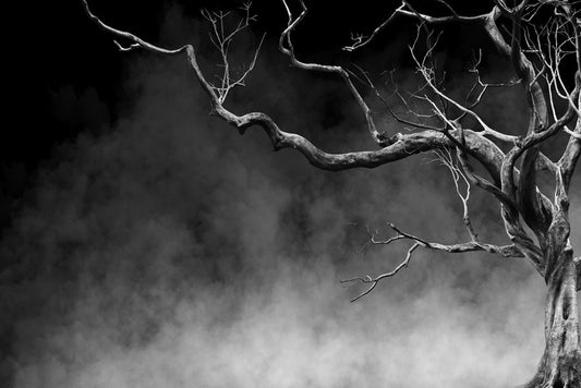 Reaching through time