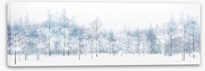 Snow white woods
