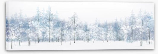 Snow white woods