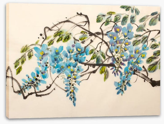 Blue wisteria