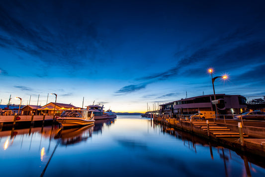 Tasman blues