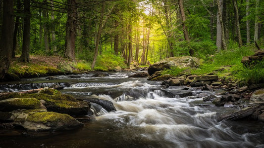 Dingman's Creek cascades